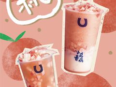 -春丽小马(济南恒隆广场店)