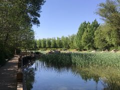 -云岗森林公园