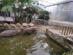-宁波野生动物园