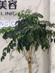 -上海漾颜医疗美容