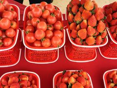 -金谷域澳洲庄园