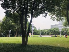 -重庆市江北嘴中央商务区中央公园