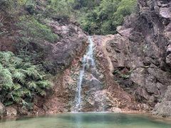 -南海湾森林生态园