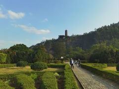 -南沙蒲洲花园