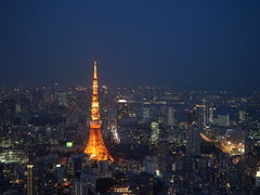-六本木新城展望台(东京城市景观)
