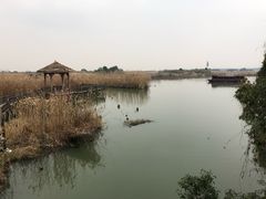 -下渚湖国家湿地公园科普馆