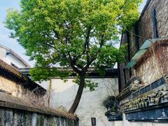 -金泽古镇