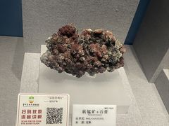 -贵州省地质博物馆
