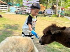 -HERRE·FARM 赫尔露营农场·团建聚会包场