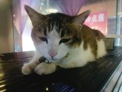 -质烤烤物·活烤海鲜(质烤总店)