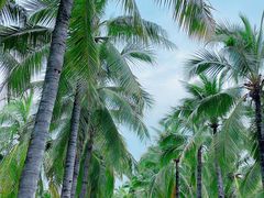 -三亚西岛海洋文化旅游区