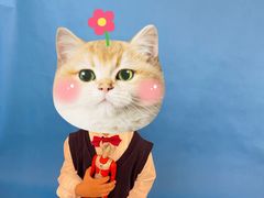 -忆相生活照相馆(苏州中心店)