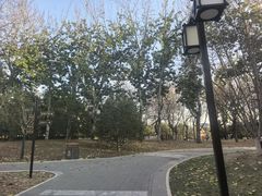 -西海子公园