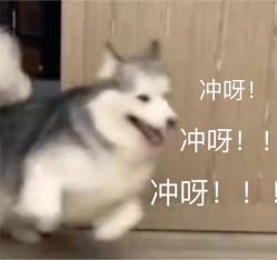 -西克造型美发连锁