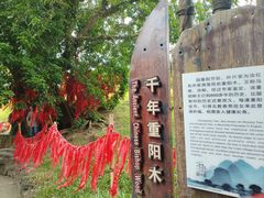 -蔡家宅