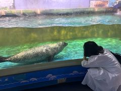 -常州海昌海洋探索馆