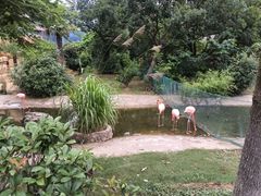 -太湖龙之梦