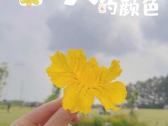 -天府芙蓉园