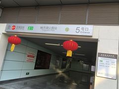 -映月湖中央公园