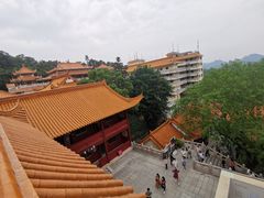 -深圳仙湖植物园