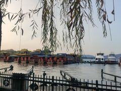 -西湖游船