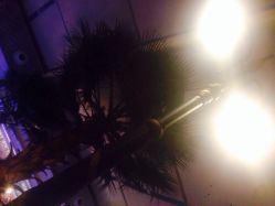 iphone_upload_pic-阳光五洲大酒店·宴会厅