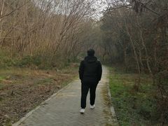 -青龙山国家森林公园