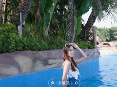 -美的鹭湖森林度假区