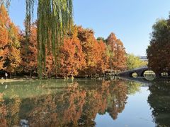 -浙江大学(紫金港校区)