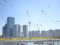 -东港音乐喷泉广场