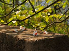 -舒家湾天主教堂