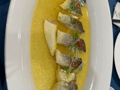 大黄鱼-麟1929(外滩店)