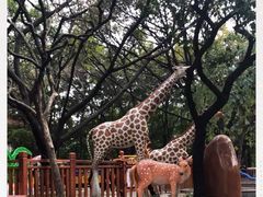 -晓港公园
