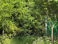 -水绘园