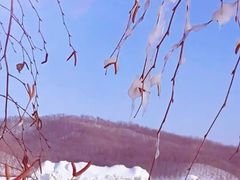 -汤旺河林海奇石景区