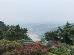 -铁山坪森林公园