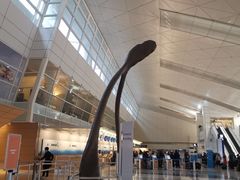 -达拉斯 沃斯堡国际机场