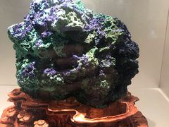 -甘肃地质博物馆