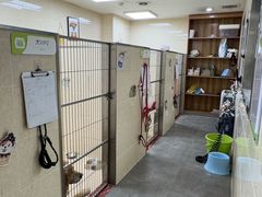 -瑞鹏宠物医院·眼科·皮肤·中兽医(大悦城分院)