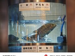 -老船舫·现做活鲜鱼馆(东郊记忆店)