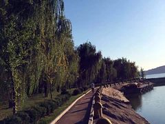 -河口景区