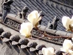-护国法轮寺