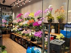 -双季花艺园艺市场(浦东店)