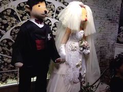 -济州岛泰迪熊博物馆