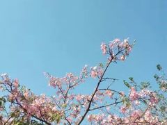 -广东外语外贸大学(白云山校区)