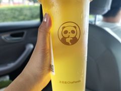 -茶百道(广都店)