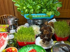 -番食园鲜食火锅(高新店)