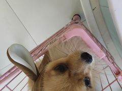 -怪兽屋·羊驼·猫咖·狗咖(俊华广场店)