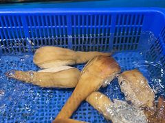 -拉完海鲜大排档(温岭店)