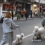 永康路上都有哪些浮夸的圣诞树🎄